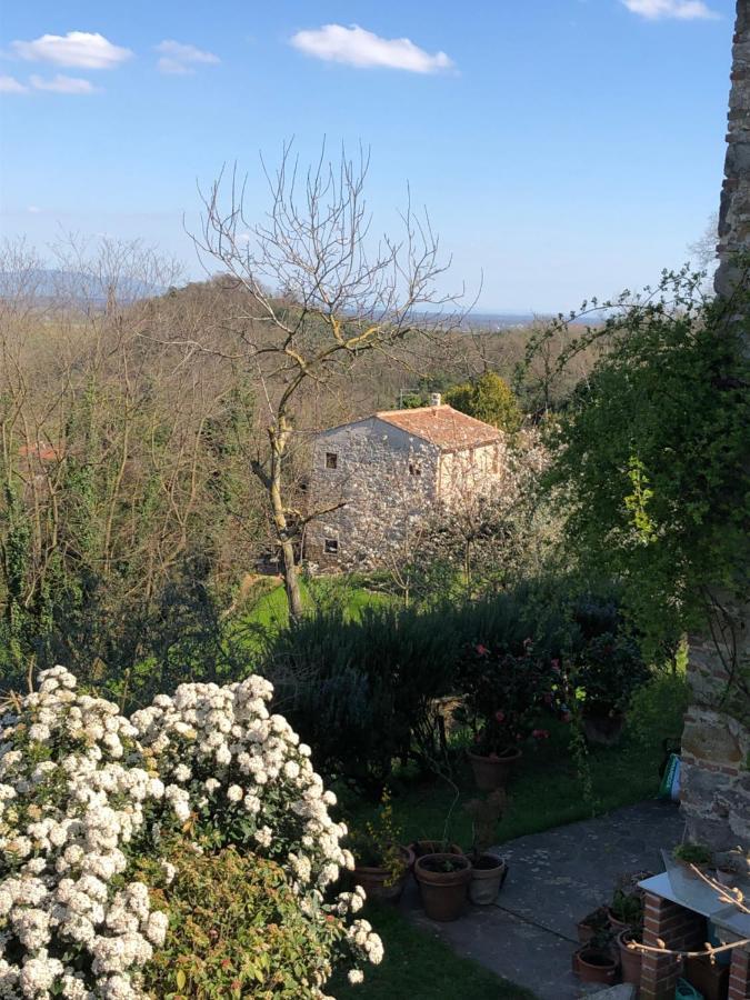 Dolce Vita In Tuscany B&B 卡潘诺里 外观 照片