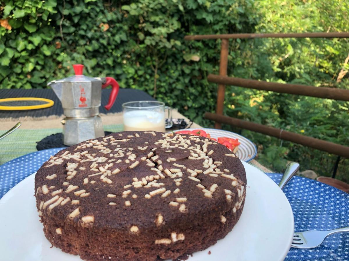 Dolce Vita In Tuscany B&B 卡潘诺里 外观 照片
